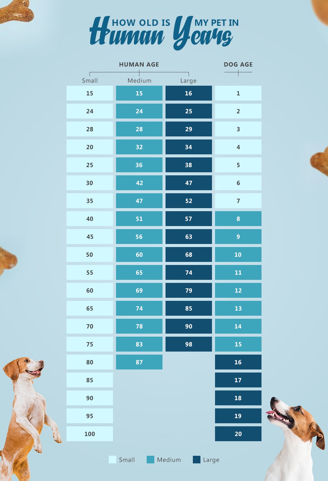 dog years vs human years chart